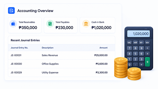 IcyPay ERP accounting and financial management workspace
