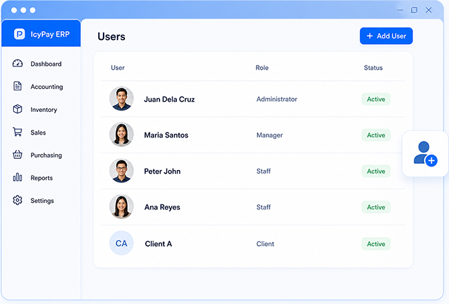 IcyPay ERP data management workspace