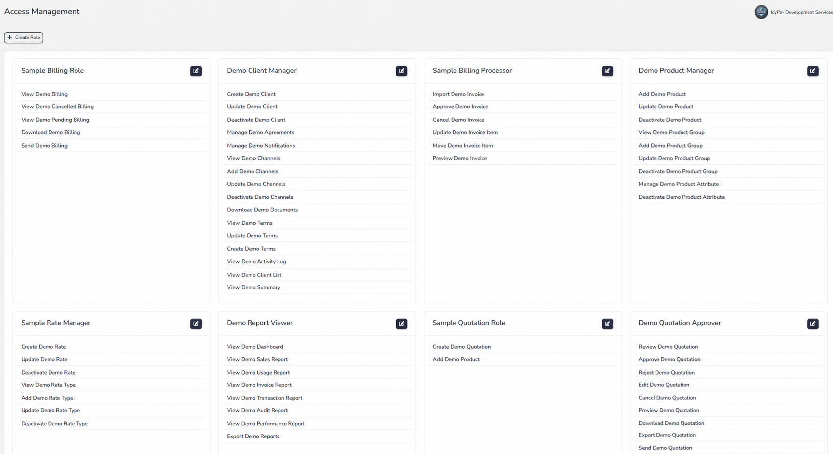IcyPay ERP access management screen with fictional demo roles and permissions